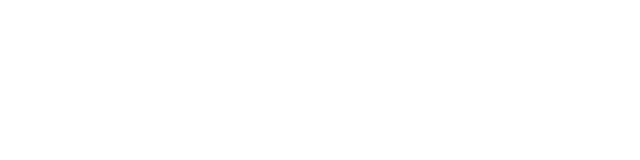 Simple Express logo